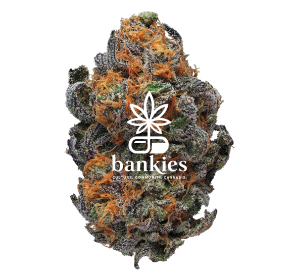 bankies.co.za
